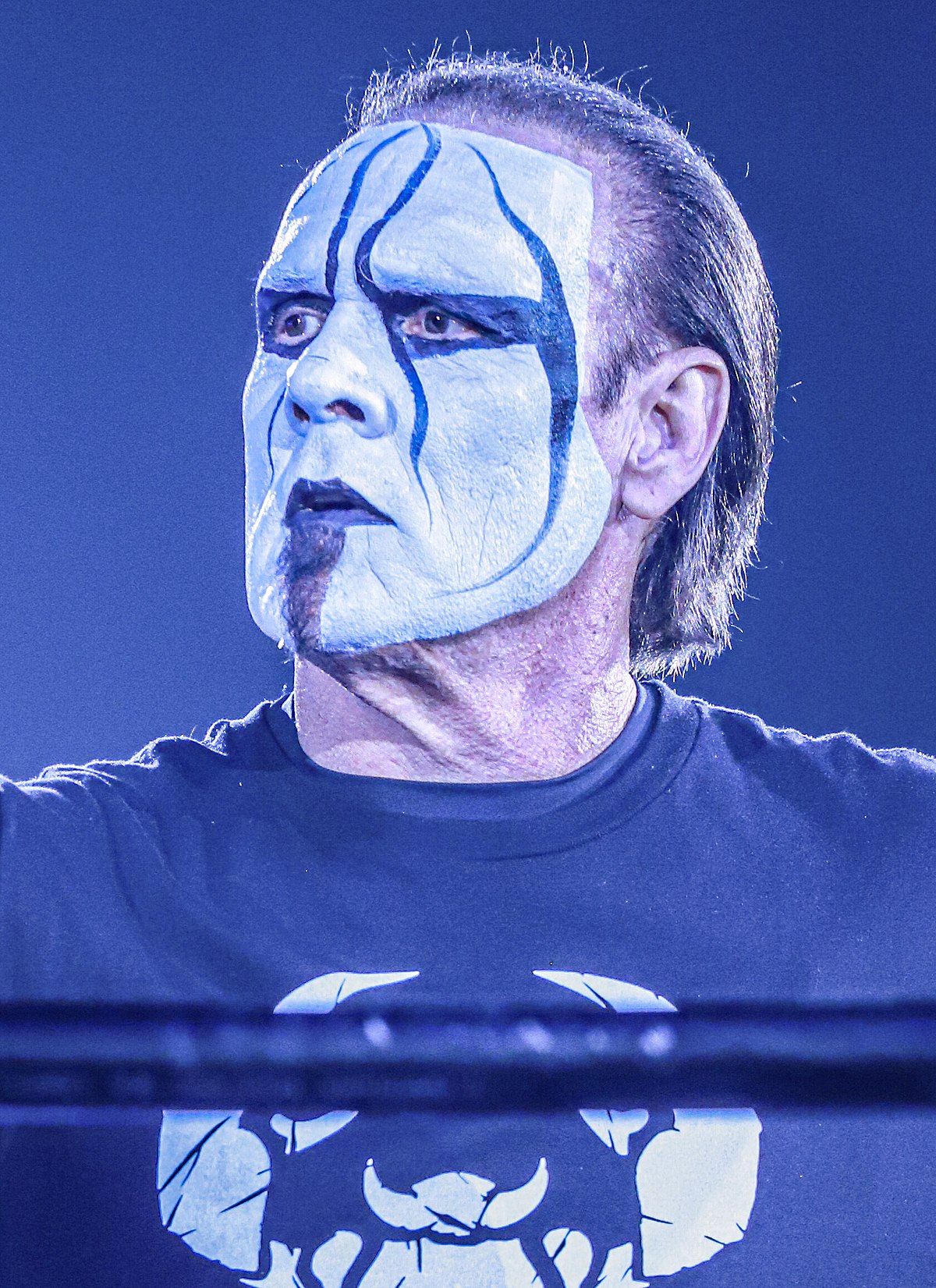 the icon sting wallpaper