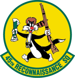 45th Reconnaissance Squadron.png