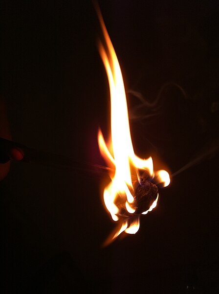 File:A Burning Walnut 2.jpg