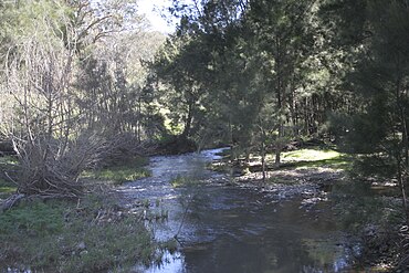 Abercrombie River 1.jpg