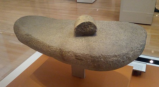 Pedra petita i gran per a la molta de gra trobada a Abu Hureyra (c. 9500-9000 aC). Museu Britànic
