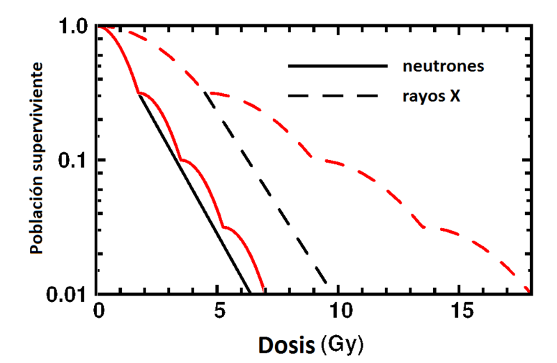 File:Acute-Radiation-Cell-Survival1.png