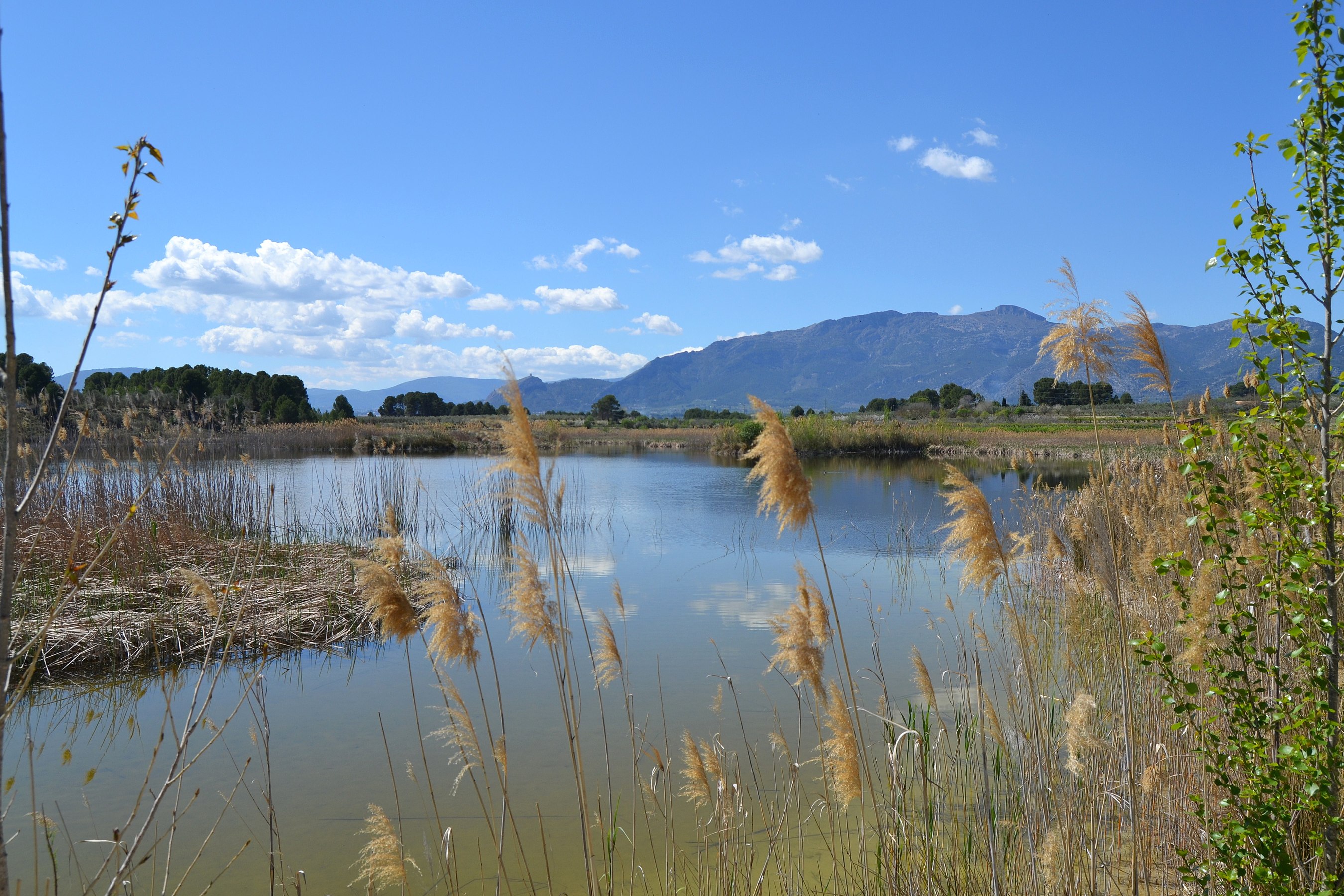 Lagoon of Gaianes, protected landscape of Serpis river © Joanbanjo