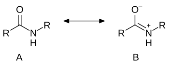 Amide resonance: