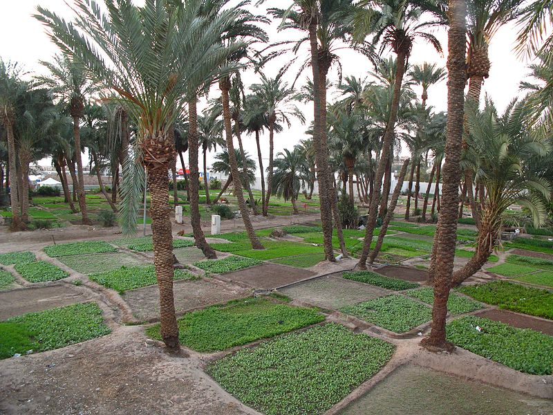 File:Aqaba Garden.jpg
