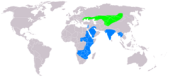 район на гнездене (зелено) и на зимуване (синьо)