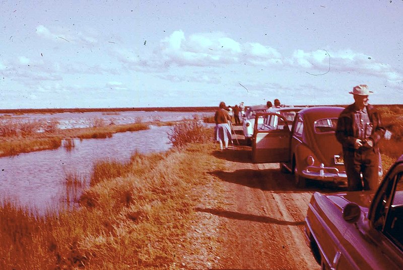 File:Audubon birdwatching trip, Grasslands, March 1965 (2) (26252166324).jpg