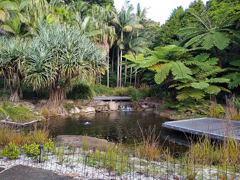 File:Australian Botanic Garden Mount Annan.jpg