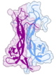 Brain-derived neurotrophic factor