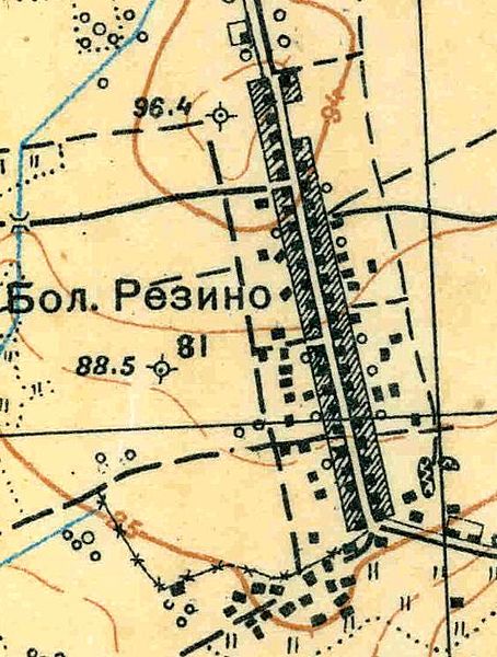 План деревни Большое Рейзино. 1931 год