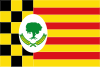 Bandeira de Alcampell
