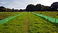 Barnhorn Green Development Site, Bexhill.jpg