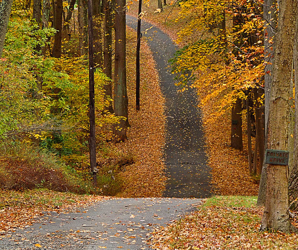 A walking trail in Basking Ridge