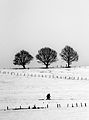 Bastogne Historic Walk 2010- Recogne (11322084336).jpg