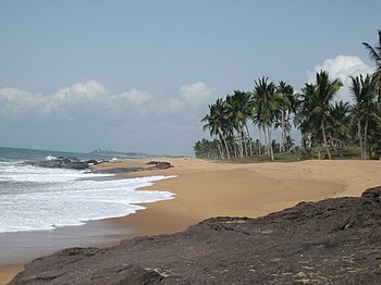 Beach with palms in Ghana, Westafrica