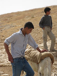 Bedouins in the Judean Desert