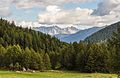 * Nomination Mountain walk from Pejo to Lago Covel (1,839 m) in the Stelvio National Park (Italy). Surrounding landscape. --Famberhorst 16:18, 6 December 2016 (UTC) * Promotion  Support Good quality. --XRay 16:42, 6 December 2016 (UTC)