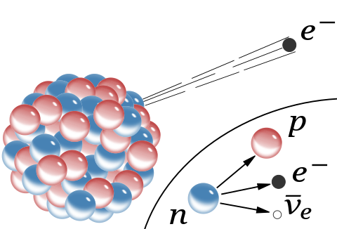 β− decay in an atomic nucleus (the accompanying antineutrino is omitted). The inset shows beta decay of a free neutron. Neither of these depictions shows the intermediate virtual W− boson.