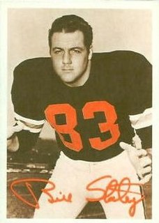 Bill Staley American football player (born 1946)
