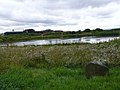 Thumbnail for File:Blackburn Meadows Nature Reserve - geograph.org.uk - 945514.jpg