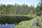 Une photo d'un lac et de forêts de conifères.