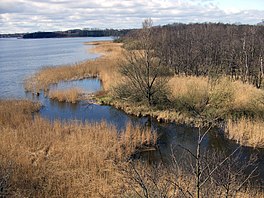 Blick vom Löns Turm HemmelsdorferSee Ausfluss aalbek.jpg