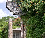 Blue Bonnet Court