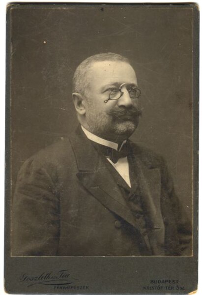 File:Boldogfai Farkas József (1857-1951).jpg