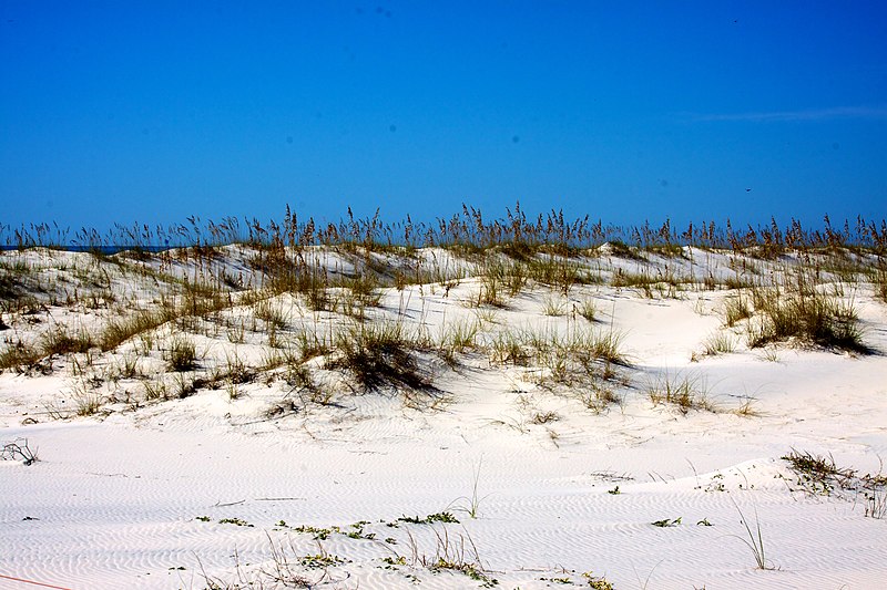 File:Bon Secour National Wildlife Refuge (6307251984).jpg