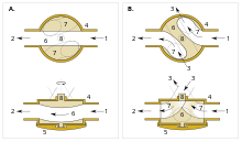 Hagmann valve, in default (A) and engaged (B) positions, top (above) and side view (below). 1. air flow, from mouthpiece; 2. air flow, to bell; 3. air flow to and from valve tubing; 4. valve casing; 5. valve cap; 6. straight-path valve port; 7. valve ports, to tubing emerging at the top of the valve casing; 8. spindle axis of rotation.
Source: Figs. 1A-1E (prior art), Shires Tru-Bore patent. Brass instrument Hagmann valve diagram.svg