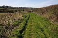 Bridleway near Oldtay Farm - geograph.org.uk - 390716.jpg