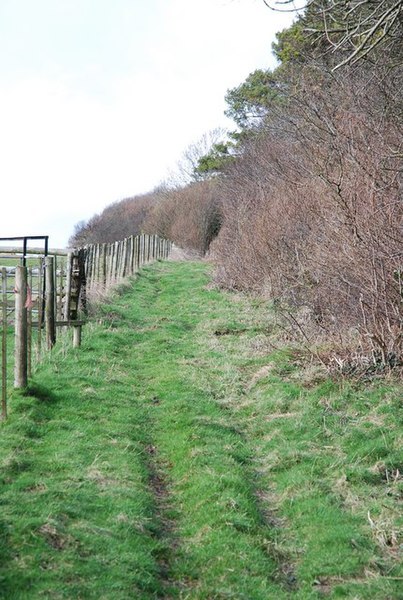 File:Bridleway to Old Shaftsbury Drove - geograph.org.uk - 337045.jpg