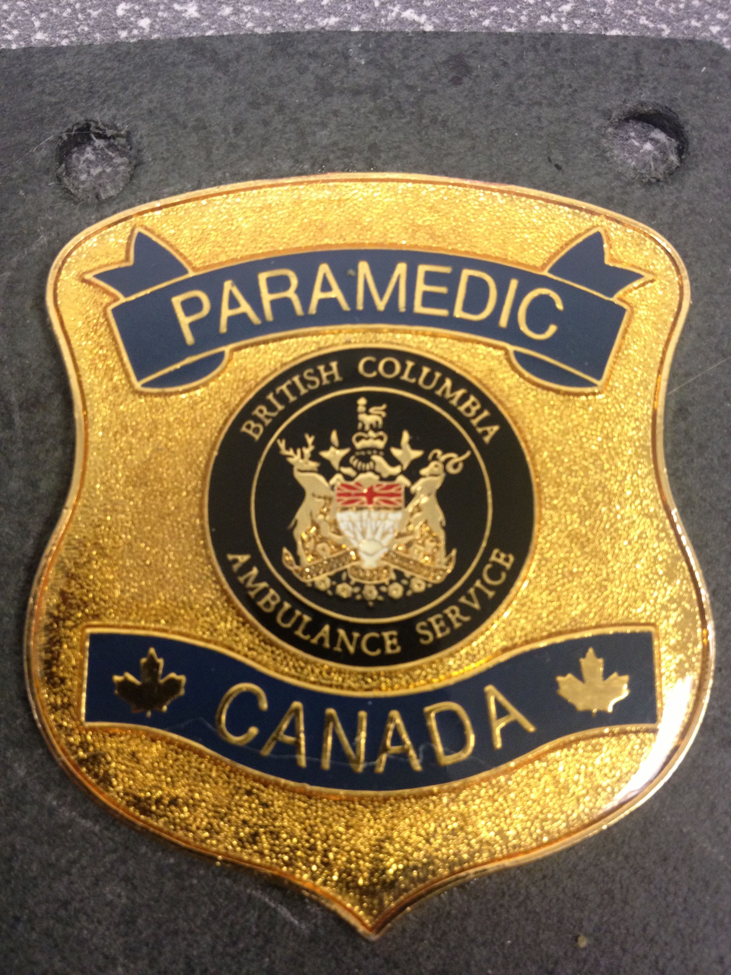 File:British Columbia Ambulance Badge.jpg - Wikimedia Commons