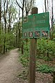Čeština: Centrální část parku Zoniënwoud, Brusel, Belgie English: Central part of the Zoniënwoud Forest, Brussels, Belgium