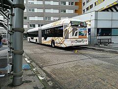  L2  lineko autobusa