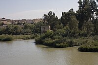 Moulin arabe.