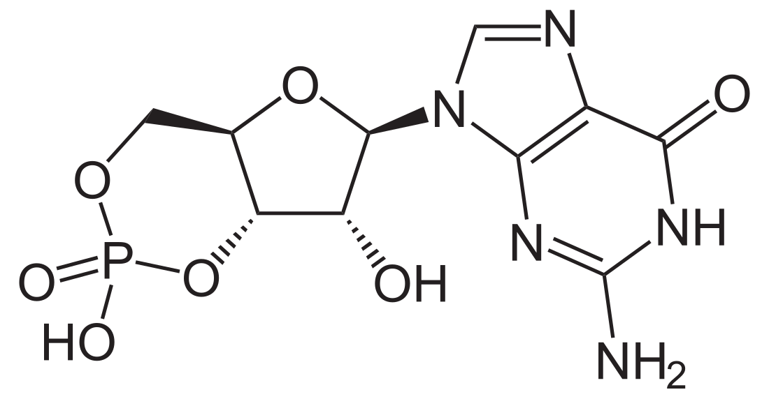 Guanosín monofosfato cíclico