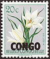 Stamp in the same drawing, but from "Belgisch-Congo" with overprint "Congo" (1960)