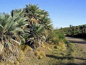 Sierras De Ambargasta