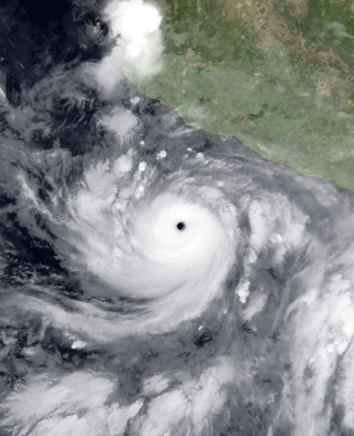 <span class="mw-page-title-main">Hurricane Carlotta (2000)</span> Category 4 Pacific hurricane in 2000