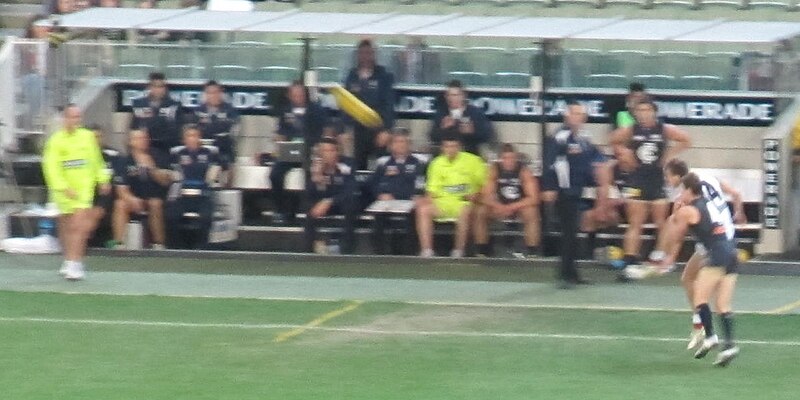 File:Carlton interchange bench.jpg