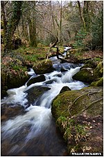 Vignette pour Cascades et champs de pierres d’Augerolles