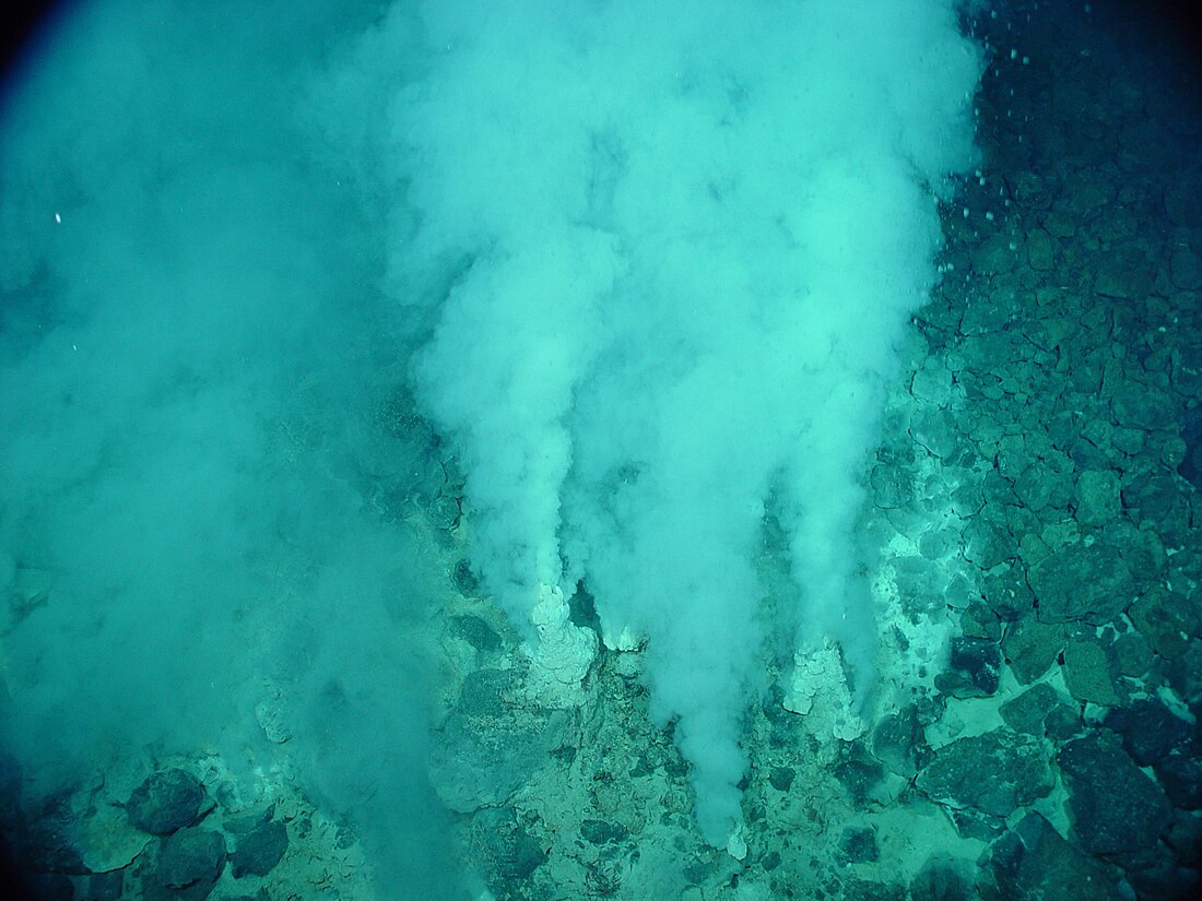 File:Champagne vent white smokers.jpg