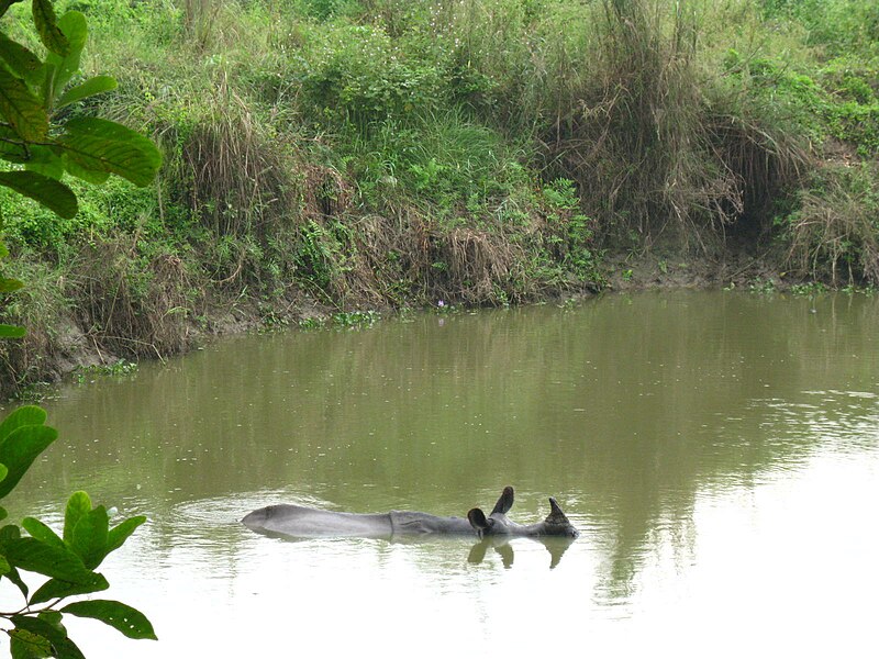 File:Chitwan National Park (2010)-49.jpg