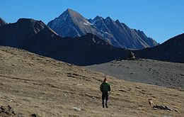 Col de la Seigne.jpg