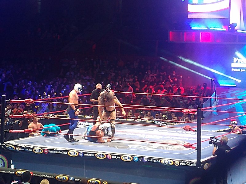 File:Combate en una función de lucha libre en la Arena México 14.jpg