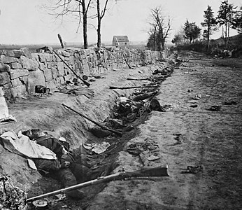 Confederate dead behind the stone wall of Marye's Heights, Fredericksburg