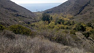 <span class="mw-page-title-main">Corral Canyon</span> Valley in California, U.S.