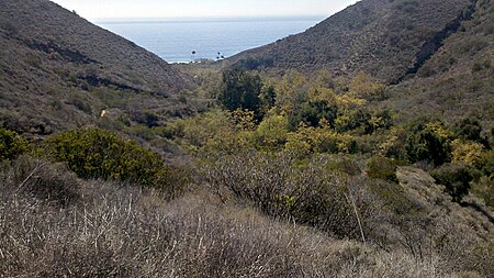 Corral Canyon looking south towards Pacific Ocean Coral Canyon.jpg