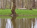 * Nomination Cornjum, Martenastate, (garden) Reflection of tree in the water. --Famberhorst 17:26, 2 May 2017 (UTC) * Promotion GQ --Palauenc05 17:41, 2 May 2017 (UTC)